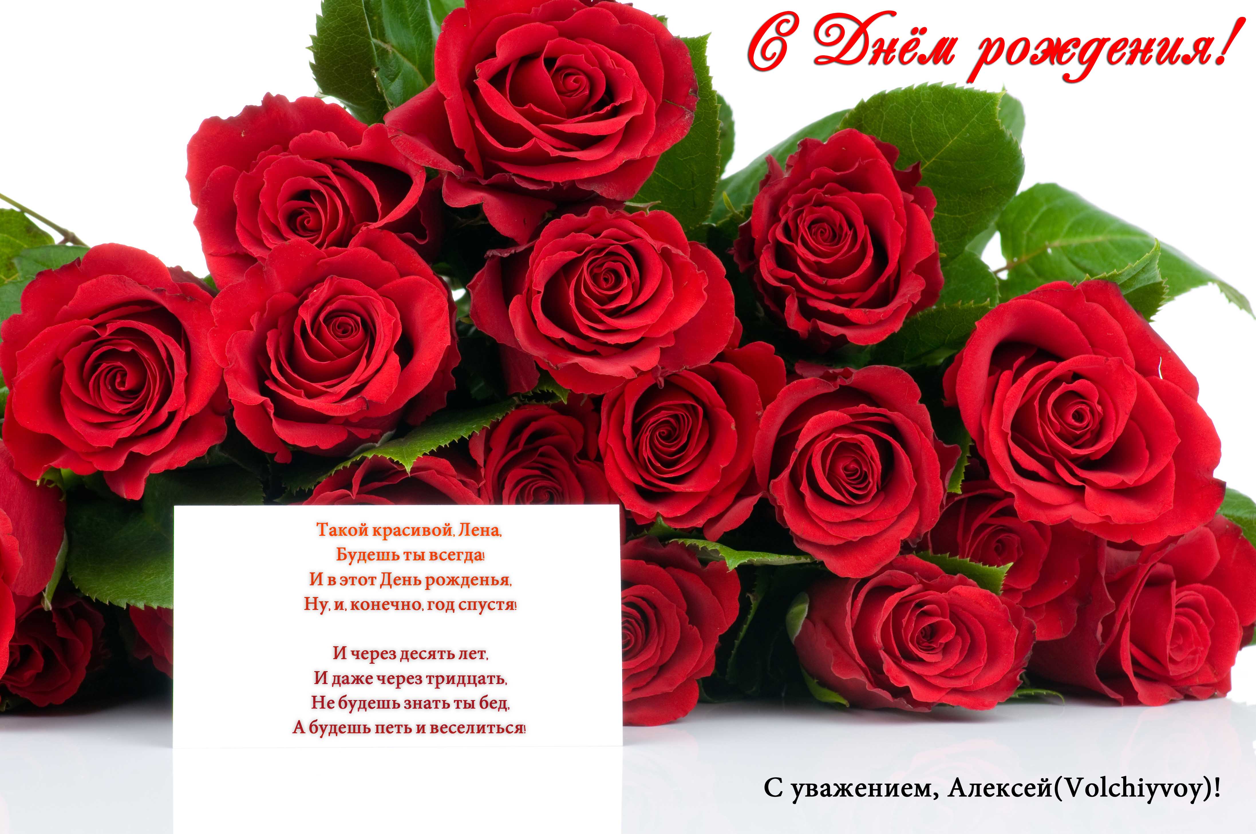 С вашим днем дорогие дамы. Шикарные цветы. Открытки с розами. Букет красных роз. Открытки с розами красивые.