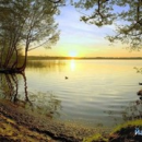 CIC_Andries_Cohaniuc