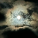 DarkKnight