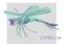 CTPEKO3A8